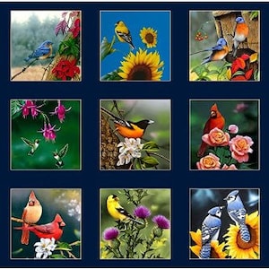 May include: A collection of 20 square images featuring colorful birds in various natural settings. Each image showcases different bird species, including cardinals, bluebirds, and goldfinches, amidst flowers, sunflowers, and foliage. The images are set against a dark blue background.