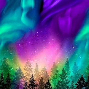 Northern Lights Aurora Borealis Cotton Fabric Panel by Timeless Treasures to Sew or Quilt Night Sky Stargazers Star, 23&quot; x 44&quot;