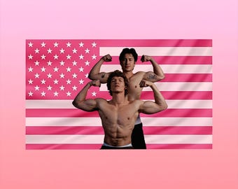 Connor Storrie Hudson Williams American Flag Tapestry,Heated Rivalry House Flag Ilya Rozanov Wall Art Connor Storrie Fan Room Gift Aesthetic