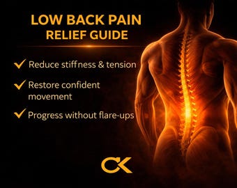 Low Back Pain Relief Guide | Muscle-Based Movement Program | Created by a Licensed Physical Therapist Assistant