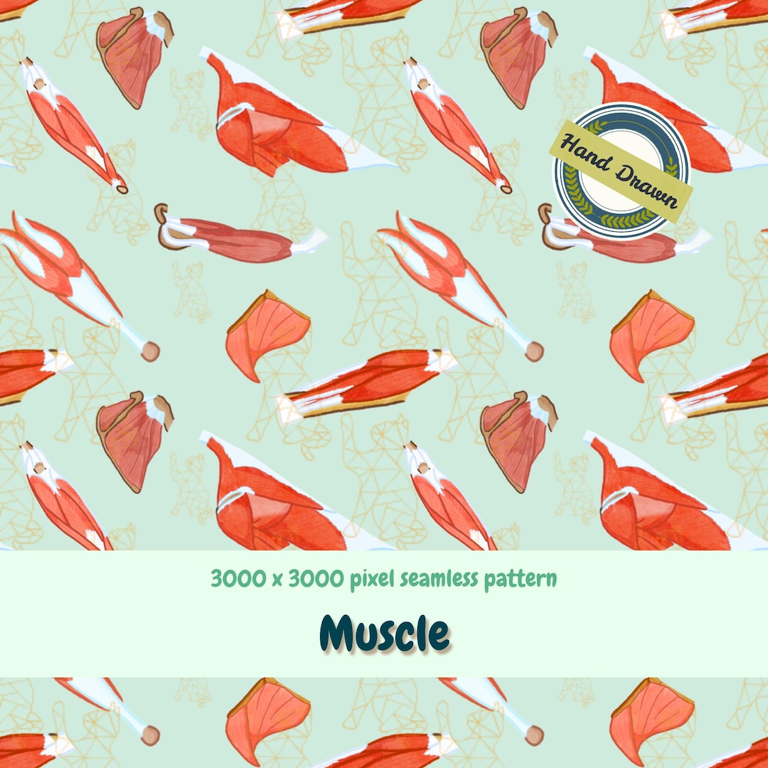 Musclemat Pattern Muscle Seamless Pattern - Etsy