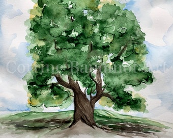 Large watercolor painting of Oak Tree with bible verse, scripture wall art, oaks of righteousness, painting of oak tree, hand painted tree