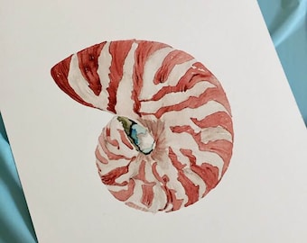 Watercolor print of original painting of Nautilus, Nautical artwork, sea life print, nautical print, ocean life art 5x7 sea shell