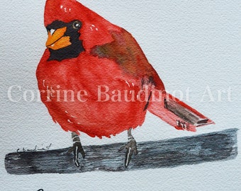 Watercolor painting of Redbird, Cardinal painting, original watercolor artwork, country decor, winter Cardinal, Christmas