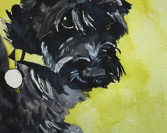 Watercolor print of Black Miniature Schnauzer dog, pet portrait, dog art, mini schnauzer, schnauzer,