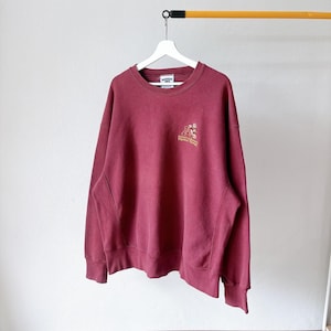 May include: A maroon crewneck sweatshirt featuring a small embroidered logo on the upper left chest. The embroidery includes a stylised letter A and the text University of Arizona Physical Therapy. The garment has long sleeves and ribbed cuffs.