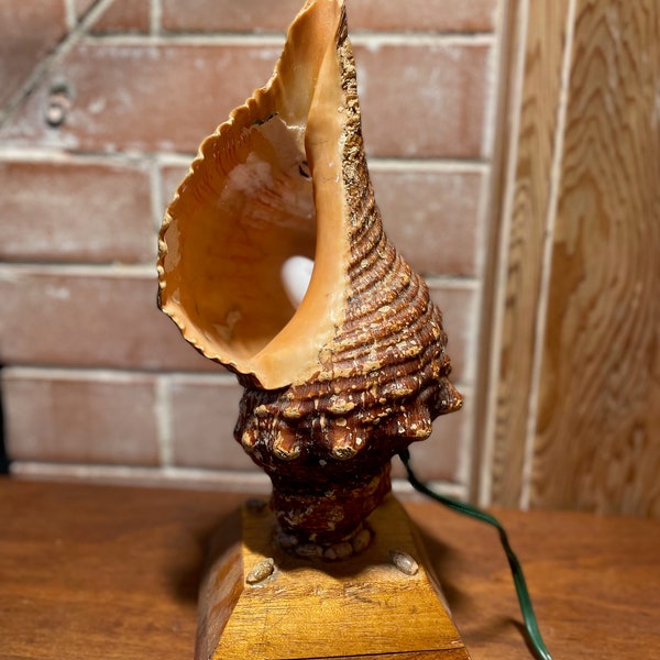 Vintage conch shell lamp