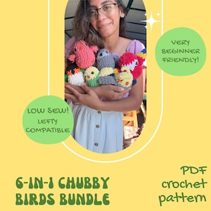 Könnte beinhalten: Eine Sammlung von sechs kleinen, weichen, gehäkelten Vögeln in verschiedenen Farben wie Pink, Grau, Gelb und Rot. Der Text auf dem Bild lautet: 6-IN-1 CHUBBY BIRDS BUNDLE, PDF crochet pattern, VERY BEGINNER FRIENDLY!, LOW SEW! LEFTY COMPATIBLE.