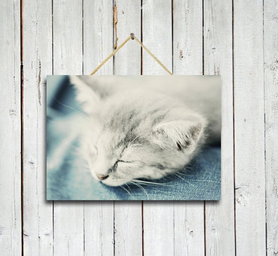 Items similar to Sleepy Kitty 5x7 printNursery Decor Wall hanging