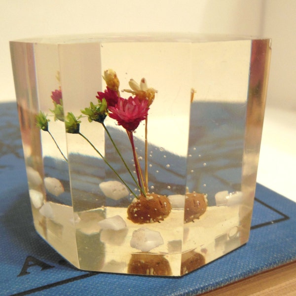 Vintage Lucite Flowers Cube Paperweight  70's (item 17)