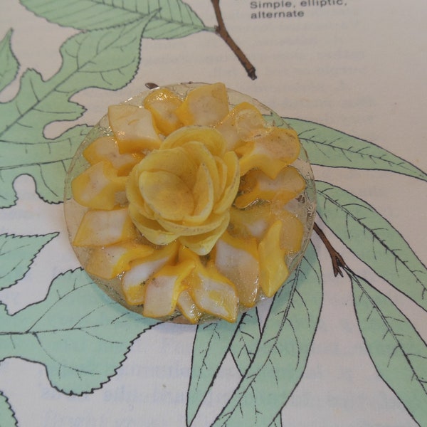 Vintage Seashell Brooch Flower Celluloid Yellow 40's (item 14)