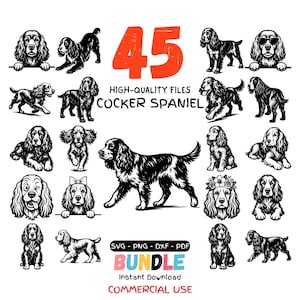 May include: A collection of 45 high-quality Cocker Spaniel illustrations in black and white. The image includes various poses and styles of the dog, with the text "COCKER SPANIEL" and "BUNDLE" in the image.