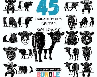Belted Galloway Cattle SVG Bundle | 45 Farm Cow Clipart PNG DxF PDF