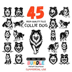 Collie SVG-paket | Rough Collie-hund | Sheltie-stil vektordesigner för Cricut och Laser