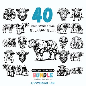May include: A digital collection of 40 black and white illustrations featuring Belgian Blue cattle in various poses, including standing, lying down, and head portraits. Some cows wear flower crowns or sunglasses. Text includes 40, Belgian Blue, and file formats.