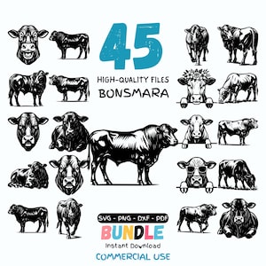 May include: A digital collection of 45 black and white Bonsmara cattle illustrations featuring various poses, including standing, lying down, and portraits. The text 45 HIGH-QUALITY FILES BONSMARA BUNDLE SVG PNG DXF PDF INSTANT DOWNLOAD COMMERCIAL USE is included.