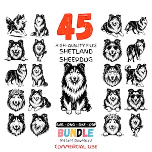 Peut inclure: Un ensemble de 45 fichiers numériques de haute qualité représentant des Shetland Sheepdog en SVG, PNG, DXF et PDF. Les illustrations en noir et blanc montrent le chien dans diverses poses, certaines avec des accessoires. Téléchargement instantané et usage commercial.