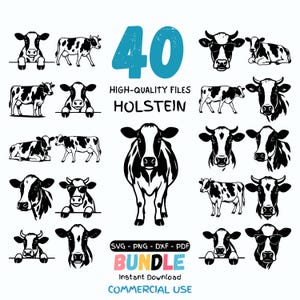 May include: A collection of 40 Holstein cow illustrations in black and white. The images include full body, head, and partial views of the cows. Text includes "40", "High-Quality Files", "Holstein", "Bundle", and "Commercial Use".