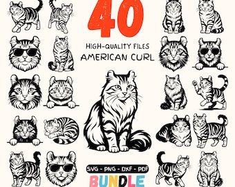 Paquete SVG de gato American Curl / 40 ilustraciones vectoriales de gatos / Clipart de gatos SVG, Png, DxF y PDF / Cricut Silhouette y corte láser comercial