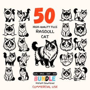 Ragdoll Cat SVG Bundle with 50 Unique Fluffy Cat Graphics for Cricut Silhouette PNG DxF PDF Instant Download Cute Pet Clipart Set