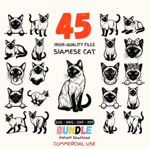 Siamesisk katt SVG-paket | Katt Clipart SVG Png DXF Pdf | Gravyrstil Kattdesigner | Cricut- och laserskurna filer | Kommersiellt bruk