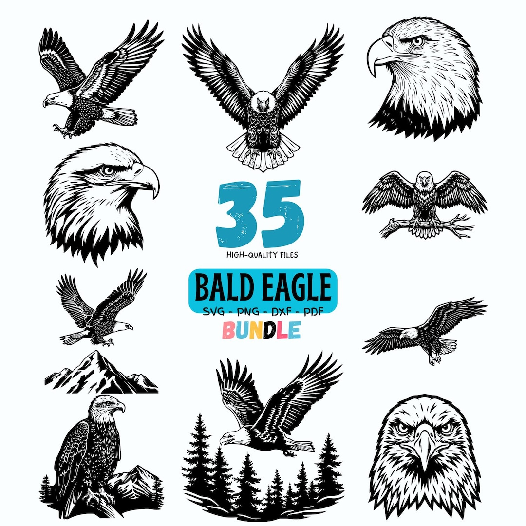 35 Bald Eagle SVG Bundle | Eagle Clipart & Cut Files | SVG Png Dxf PDF ...