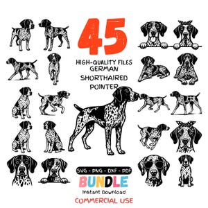 May include: A collection of 45 German Shorthaired Pointer illustrations in various poses. The dogs are black and white, with some wearing accessories. Text includes "45", "HIGH-QUALITY FILES", "BUNDLE", and "COMMERCIAL USE".