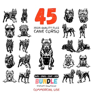 May include: A digital collection of 45 black and white Cane Corso dog illustrations featuring various poses, including standing, sitting, and lying down. Some dogs wear accessories like sunglasses or floral crowns. Text includes 45, HIGH-QUALITY FILES, CANE CORSO, SVG, PNG, DXF, PDF, BUNDLE, Instant Download, and COMMERCIAL USE.