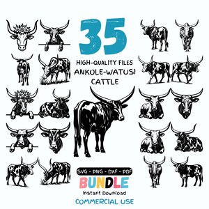 以下が含まれることがあります： 様々なポーズのアンコレワトゥシ牛のイラスト35点を収録したデジタルアートバンドル。白黒画像は長い角と詳細な特徴を強調しています。「35」、「High-Quality Files」、「Ankole-Watusi Cattle」、「Bundle」の文字が含まれています。形式：SVG、PNG、DXF、PDF。
