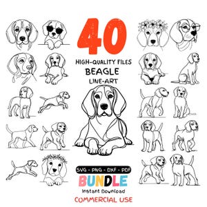 May include: A set of 40 Beagle line-art illustrations in different poses. The image includes the text "40", "High-Quality Files", "Beagle Line-Art", "Bundle", "Instant Download", and "Commercial Use". The illustrations are in black and white.