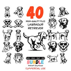 May include: A digital bundle of 40 Labrador Retriever files, including SVG, PNG, DXF, and PDF formats. The black and white illustrations depict various poses of Labradors. Text includes "BUNDLE" and "COMMERCIAL USE".