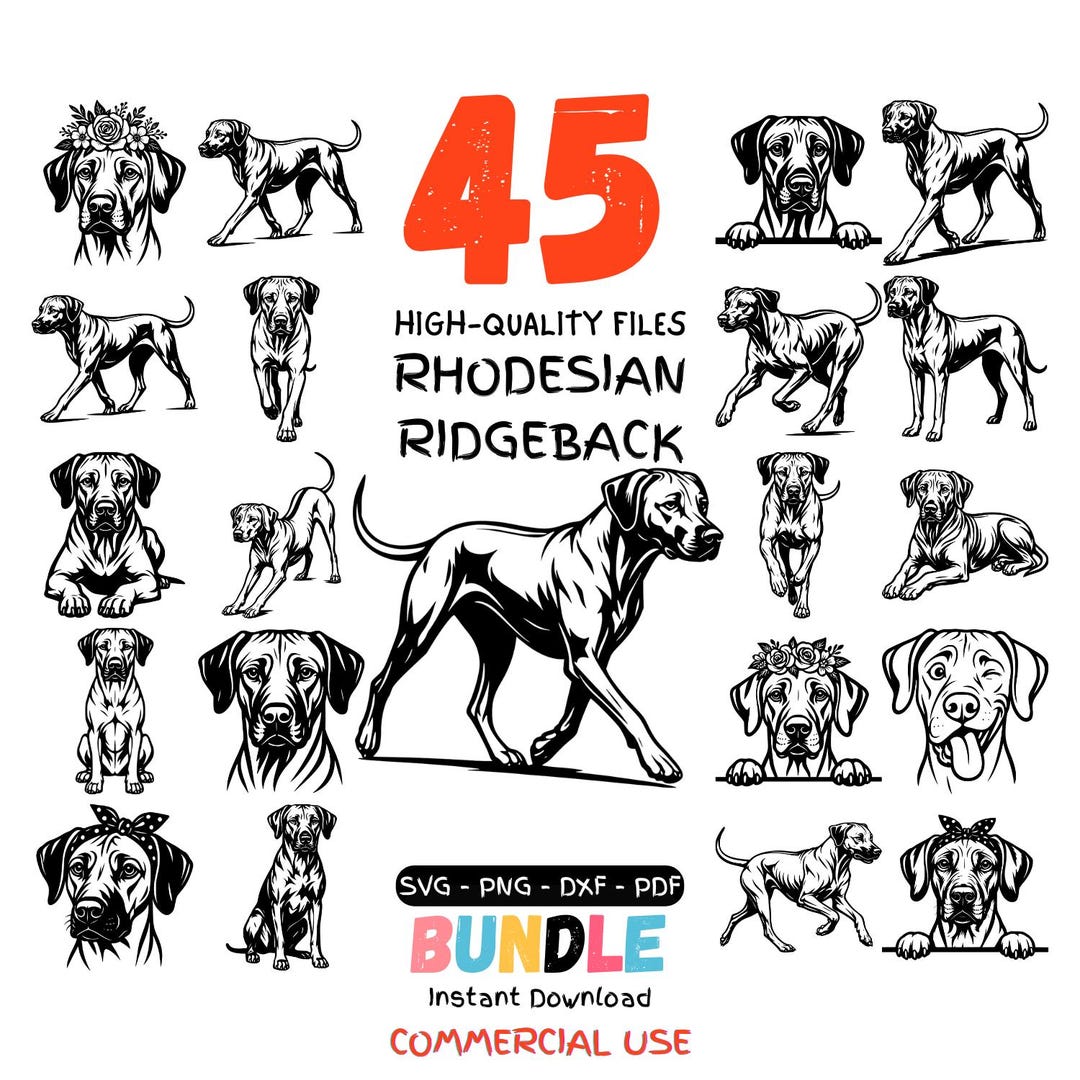 Rhodesian Ridgeback SVG Bundle | Rhodesian Dog Clipart Cut Files | SVG ...