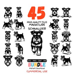 Peut inclure: Une collection numérique de 45 illustrations en noir et blanc représentant des chiens Schnauzer nain dans diverses poses, assises, courant ou en portrait. Le texte indique 45 HIGH-QUALITY FILES MINIATURE SCHNAUZER SVG PNG DXF PDF BUNDLE.