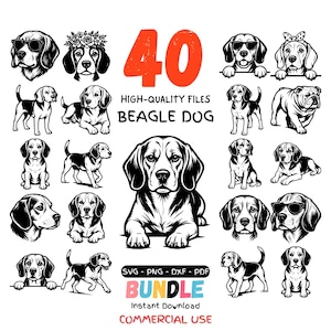 Puede incluir: Un conjunto de 40 ilustraciones de perros Beagle en blanco y negro. Las imágenes muestran varias poses de Beagle, algunas con accesorios. El texto incluye "40", "Archivos de alta calidad", "Beagle Dog", "Bundle" y "Commercial Use".