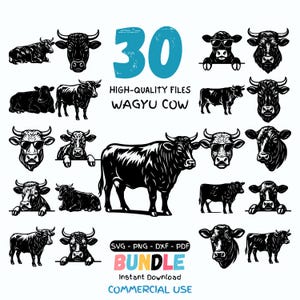 May include: A collection of 30 high-quality black and white Wagyu cow illustrations. The image includes various poses of the cows, some wearing sunglasses, and text that reads "SVG - PNG - DXF - PDF BUNDLE Instant Download COMMERCIAL USE."