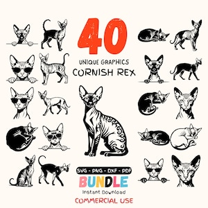 Cornish Rex SVG-paket 40 designer, hårlös katt Clipart, Sphynx-stil katt SVG PNG DxF PdF, kattälskare Cricut-filer, roliga kattsolglasögon