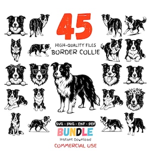 Puede incluir: Una colección de 45 ilustraciones en blanco y negro de Border Collies en varias poses. La imagen incluye el texto "45", "HIGH-QUALITY FILES", "BORDER COLLIE", "SVG - PNG - DXF - PDF", "BUNDLE", "Instant Download" y "COMMERCIAL USE".