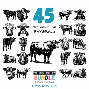 May include: A collection of 45 high-quality black and white Brangus cow illustrations in various poses. The image includes the text "45", "HIGH-QUALITY FILES", "BRANGUS", "BUNDLE", "Instant Download", and "COMMERCIAL USE". Formats include SVG, PNG, DXF, and PDF.