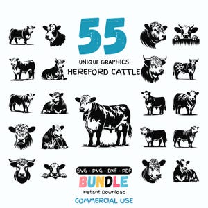 May include: A selection of 55 unique black and white Hereford cattle graphics. The image features various illustrations of cows in different poses, with the text "55 UNIQUE GRAPHICS HEREFORD CATTLE BUNDLE" and file type information.