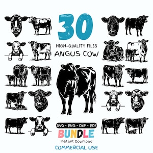 Puede incluir: Una colección de 30 ilustraciones de vacas Angus de alta calidad en blanco y negro. Las imágenes incluyen varias poses de las vacas, incluyendo cuerpo completo, retratos y vacas con terneros. El texto incluye "30", "Archivos de alta calidad", "Angus Cow", "Bundle" y "Commercial Use".