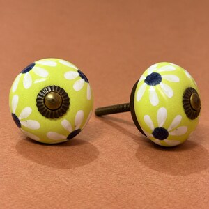 May include: Two round cabinet knobs with a bright lime green base featuring a white daisy pattern and a dark blue center. Each knob has a central bronze-toned metal rosette and a threaded metal bolt extending from the back for installation.