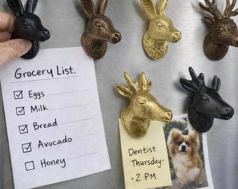 Magneti a forma di testa di animale in metallo massiccio con supporto resistente / Aderiscono facilmente alle superfici metalliche