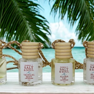 以下が含まれることがあります： 木製の蓋とロープハンガーが付いた、6つの透明なガラス製車用芳香剤ボトル。各ボトルには「Hawaii Salt & Soul」の文字と、ココナッツタイド、プルメリアブリーズ、トロピカルミスト、アロハレイ、ビーチリネン、アイランドシトラスの香り名が記載されたラベルが付いています。