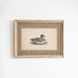 May include: A framed vintage print featuring a detailed black and white illustration of a duck resting on grass. The artwork is set within a decorative frame with floral patterns in shades of green and pink.