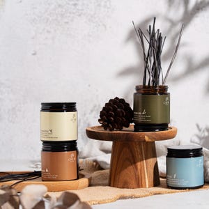 Reed Diffuser 45ml | 4 Scents Available  | Thai Herbal Home Scent | Cher Aroma.