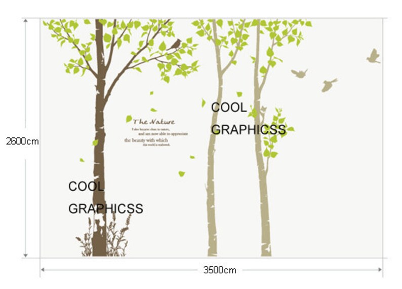 3 Birch Trees Wall Decal Birds Birdcage Branch Wall Decals Child Nursery Wall Sticker Wall Decor Room Decor Home Decor Wall Decals Trees