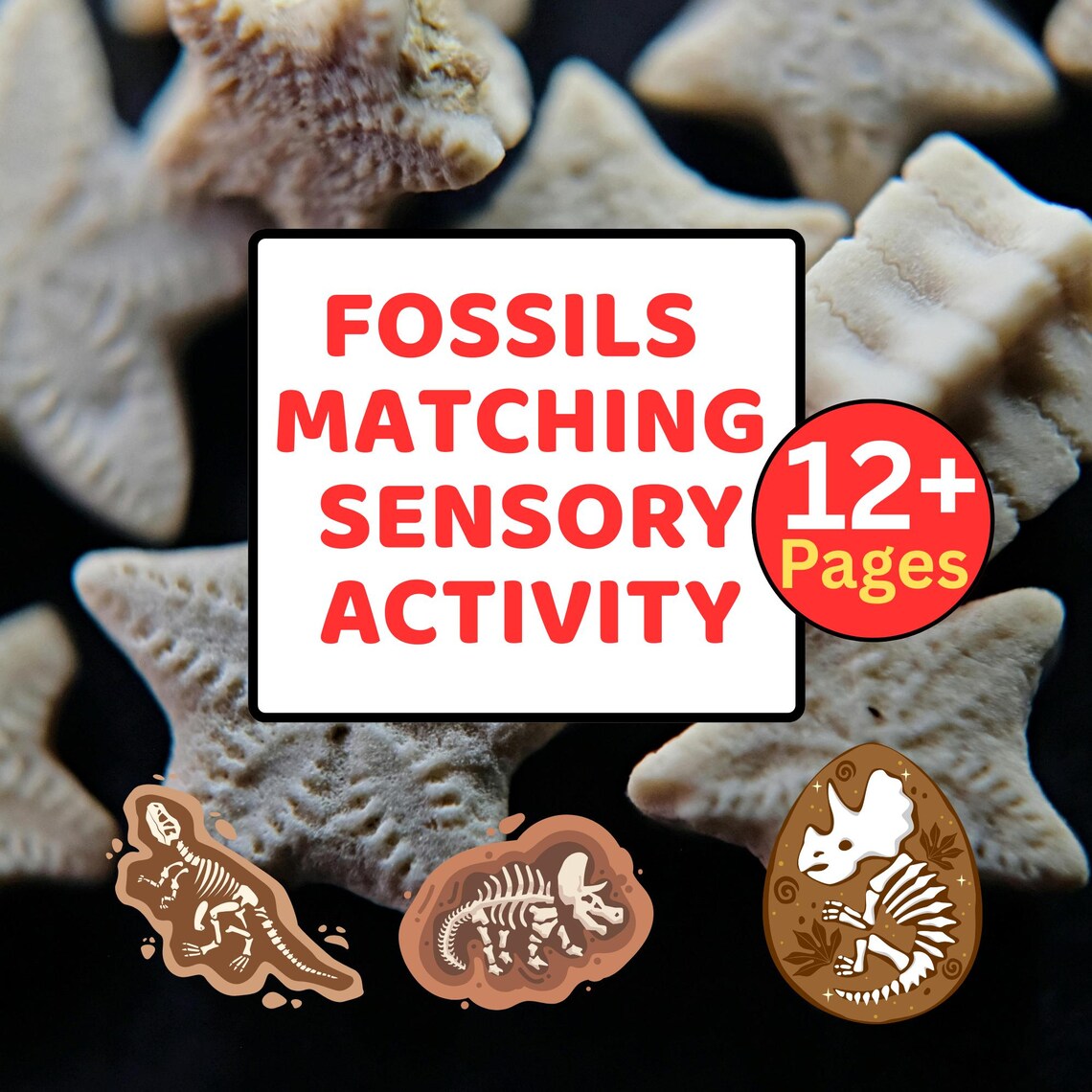 Fossils Matching Game Printable | Dinosaur Sensory Activity | Preschool ...