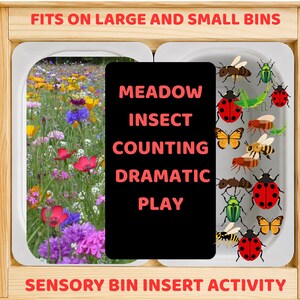 May include: Sensory bin insert activity with a meadow scene and insect illustrations. The text reads "Meadow Insect Counting Dramatic Play". The bin is designed to fit on large and small bins.
