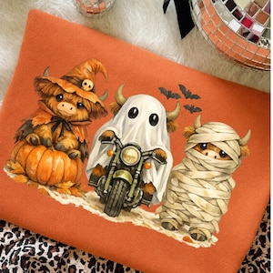 Peut inclure: Un sweat-shirt orange avec une impression graphique représentant trois personnages de vaches Highland. L'une porte un chapeau de sorcière sur une citrouille, l'une est déguisée en fantôme sur une moto, et l'une est enveloppée de bandelettes de momie.