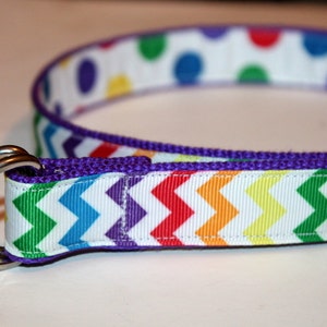 May include: A purple and rainbow chevron patterned belt with a silver double-ring buckle.